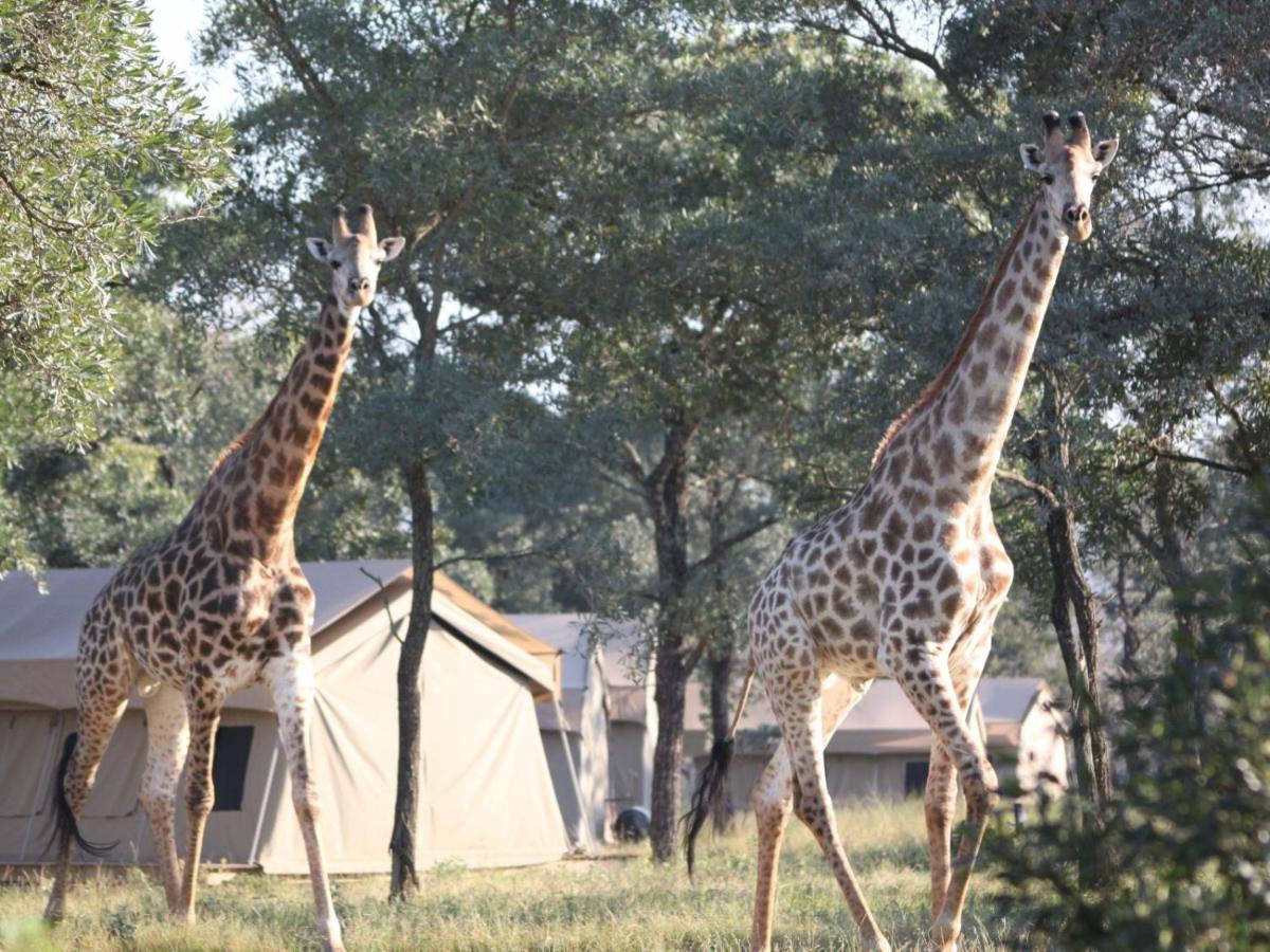 Unyati Safari Lodge Hectorspruit Екстер'єр фото