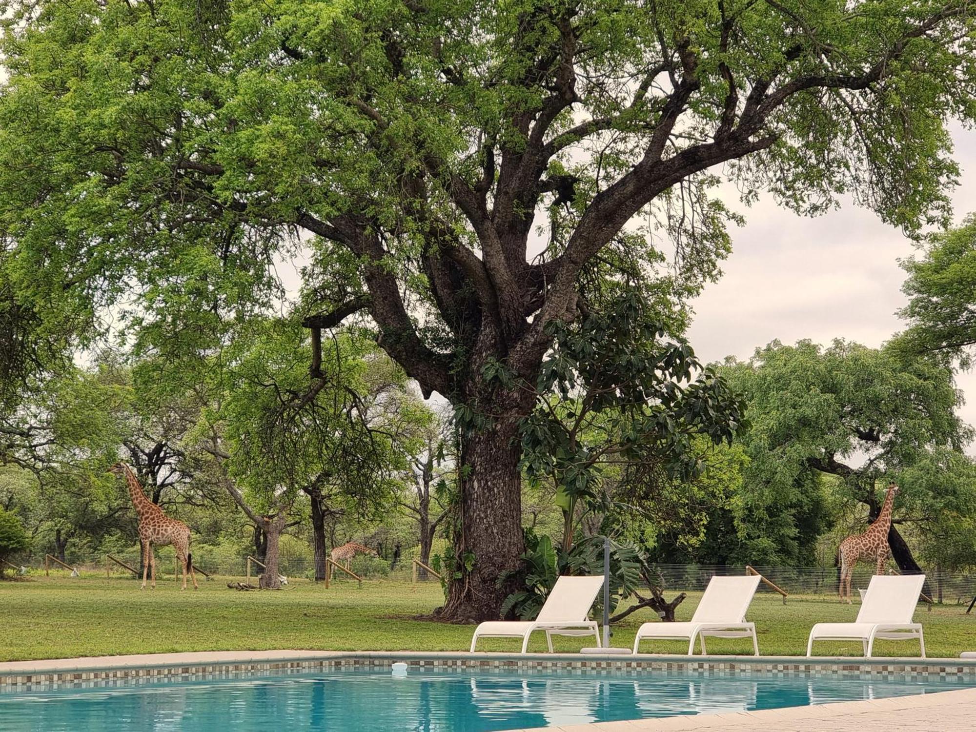 Unyati Safari Lodge Hectorspruit Екстер'єр фото